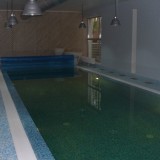 Переливной стационарный бассейн для плавания в загородном доме с отделкой из мозаики