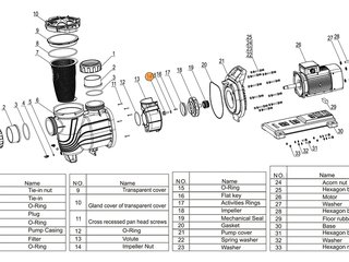 Болт рабочего колеса насоса SLP500-1000T/WLP500-100T  Mayer Schwimmbad LX A31130001
