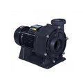 Насос (60 м3/ч 4 HP 380B) Mayer Schwimmbad WTB300T