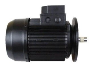 Двигатель к насосу Badu 1,3 kw 40/25 G (380В) (2040.255.037)