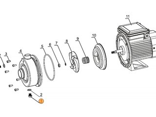 Заглушка насоса DWK  Mayer Schwimmbad LX A29010001