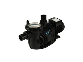 Насос 2,2кВт 220В Emaux SPH300 88029609