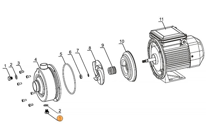 Заглушка насоса DWK  Mayer Schwimmbad LX A29010001