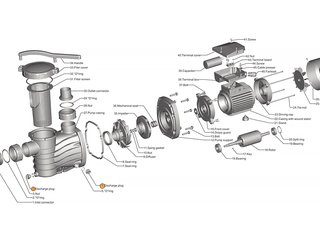 Винт сливной насоса HFC 02/03 Happy Pump