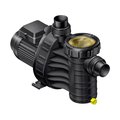 Насос (0,45кВт 220В) Aquatechnix Aqua Plus  6