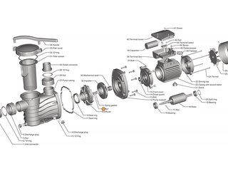 Гайка М10 рабочего колеса насоса HFC 02/03 AISI-304 Happy Pump