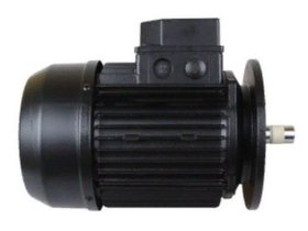 Двигатель к насосу Badu 1,3 kw 40/25 G (380В) без сальников, без крыльчатки (2970.130.003)