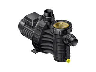 Насос (0,45кВт 220В) Aquatechnix Aqua Plus  6