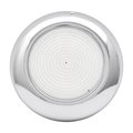 Прожектор накладной из нерж. стали (25Вт/12В) LED Cold white Tadpole JKD-YC260-2SP