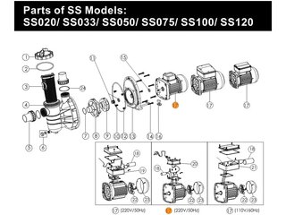 Двигатель к насосу SS100 (220В) Emaux 89022107