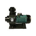 Насос 4 HP 380В Emaux AFS40 (88028818)