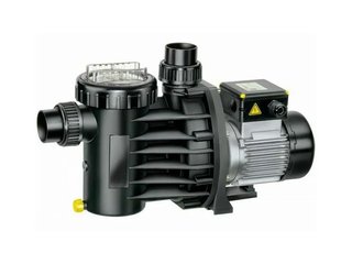 Насос (0,63 кВт 220 в) Comfort14 фильтра Behncke Cristall D600-2016 39199502/Speck Pumpen2190149038