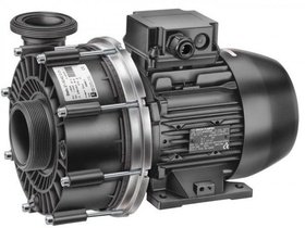 Насос BADU 21-50/44 G, (220 в, 2,2 kW)