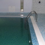 Плавательный бассейн с отделкой из мозаики в загородном доме