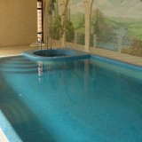 Вид переливного бассейна для плавания в частном доме