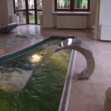 Скиммерный бассейн в частном доме с фонтаном и искусственным течением для комфортного плавания