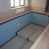 Скиммерный стационарный бассейн простой формы для плавания в частном доме