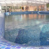 Плавательный скиммерный бассейн на загородном участке с отделкой из мозаики