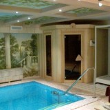 Скиммерный стационарный бассейн с авторским панно на стене и оригинальной отделкой потолка